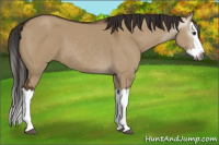 Horse Color:Gray Liver Red Dun Splash