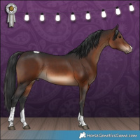 Horse Color:Brown Tobiano Rabicano
