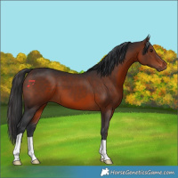 Horse Color:Brown 