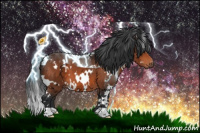 Horse Color:White Spotted Brown