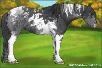 Horse Color:Black Tobiano 