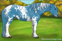 Horse Color:Watercolor White Spotted Black Tobiano 
