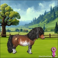 Horse Color:White Spotted Brown 