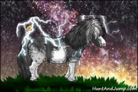 Horse Color:White Spotted Black