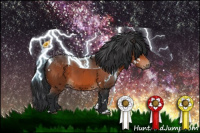 Horse Color:White Spotted Brown 