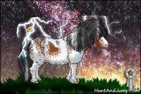 Horse Color:White Spotted Brown 