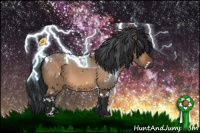 Horse Color:White Spotted Bay Dun 