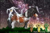 Horse Color:White Spotted Brown