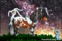 Horse Color:White Spotted Bay Appaloosa 