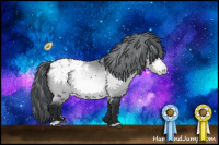 Horse Color:White Spotted Brown Chinchilla Appaloosa 