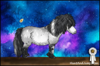 Horse Color:White Spotted Bay Chinchilla 