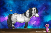 Horse Color:White Spotted Bay Chinchilla 