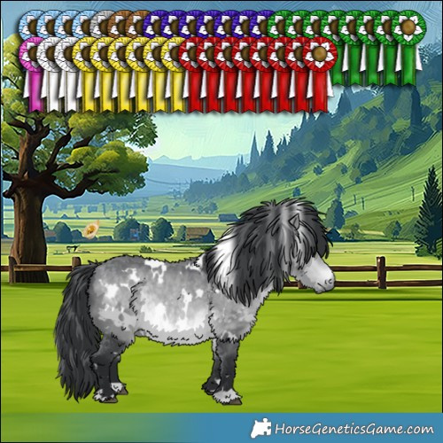 Horse Color:White Spotted Bay Chinchilla 