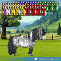 Horse Color:White Spotted Bay Chinchilla 