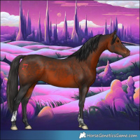 Horse Color:Brown Tobiano 