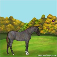 Horse Color:Midnight Red Ice Roan 