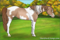 Horse Color:Liver Chestnut Pearl Tobiano Frame 