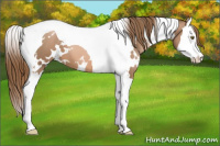 Horse Color:White Spotted Liver Chestnut Pearl Splash Tobiano