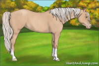 Horse Color:Silver Classic Champagne Roan Tobiano