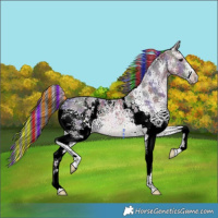 Horse Color:Painted Nacre Brown Sabino