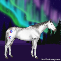 Horse Color:Gray White Spotted Bay Ice 