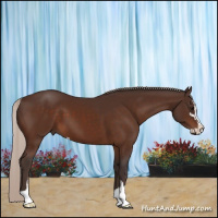 Horse Color:Silver Bay Sabino 