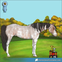 Horse Color:Bay Roan Sabino