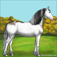 Horse Color:White Spotted Bay Splash 