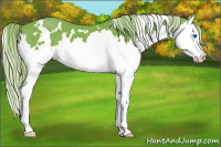 Horse Color:Watercolor White Spotted Chocolate Palomino Splash 
