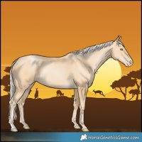 Horse Color:Silver Smoky Black Pearl 
