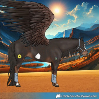 Horse Color:Liver Chestnut Frame 