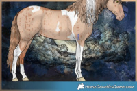 Horse Color:Gold Champagne Dun Tobiano Brindle 