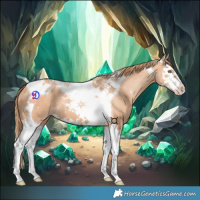 Horse Color:Gold Champagne Splash Tobiano 