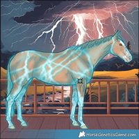 Horse Color:Thunderstruck Gold Champagne Splash Tobiano 