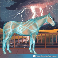 Horse Color:Thunderstruck Gold Champagne Splash Tobiano 