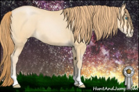 Horse Color:Buckskin Pearl 