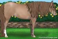 Horse Color:Black Pearl