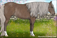 Horse Color:Silver Black Rabicano 