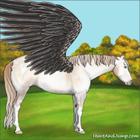 Horse Color:Gray White Spotted Gold Cream Champagne Roan Pearl Onyx Splash Rabicano 