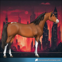 Horse Color:Bay Sabino Tobiano