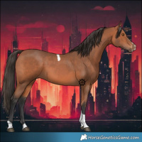 Horse Color:Bay Sabino Tobiano