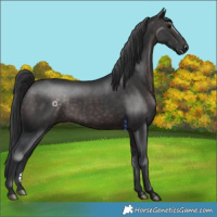 Horse Color:Platinum Brown 