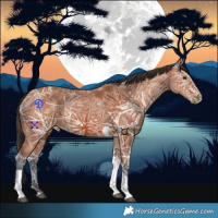 Horse Color:Bay Ice Tobiano 