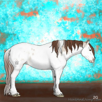 Horse Color:Liver Red Dun Splash Tobiano Appaloosa 