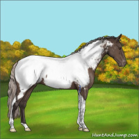 Horse Color:Silver Brown Tobiano Near Fewspot 