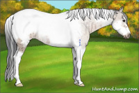 Horse Color:Bay Roan Dun Tobiano Frame Brindle 