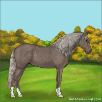 Horse Color:Silver Blue Roan 
