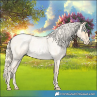 Horse Color:Palomino Roan Pearl  and Palomino Roan Pearl 