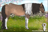 Horse Color:Brown Dun Sabino Tobiano Rabicano