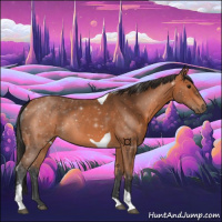 Horse Color:Bay Tobiano 